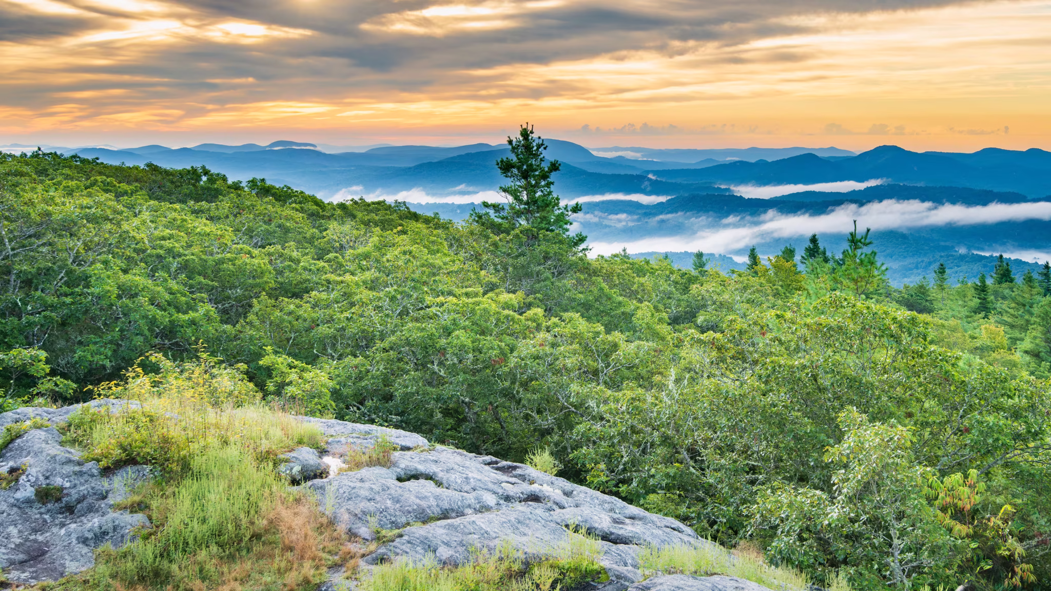 ALTA/NSPS, Professional land surveying, FireTower, Land surveying Western North Carolina, Construction, surveying