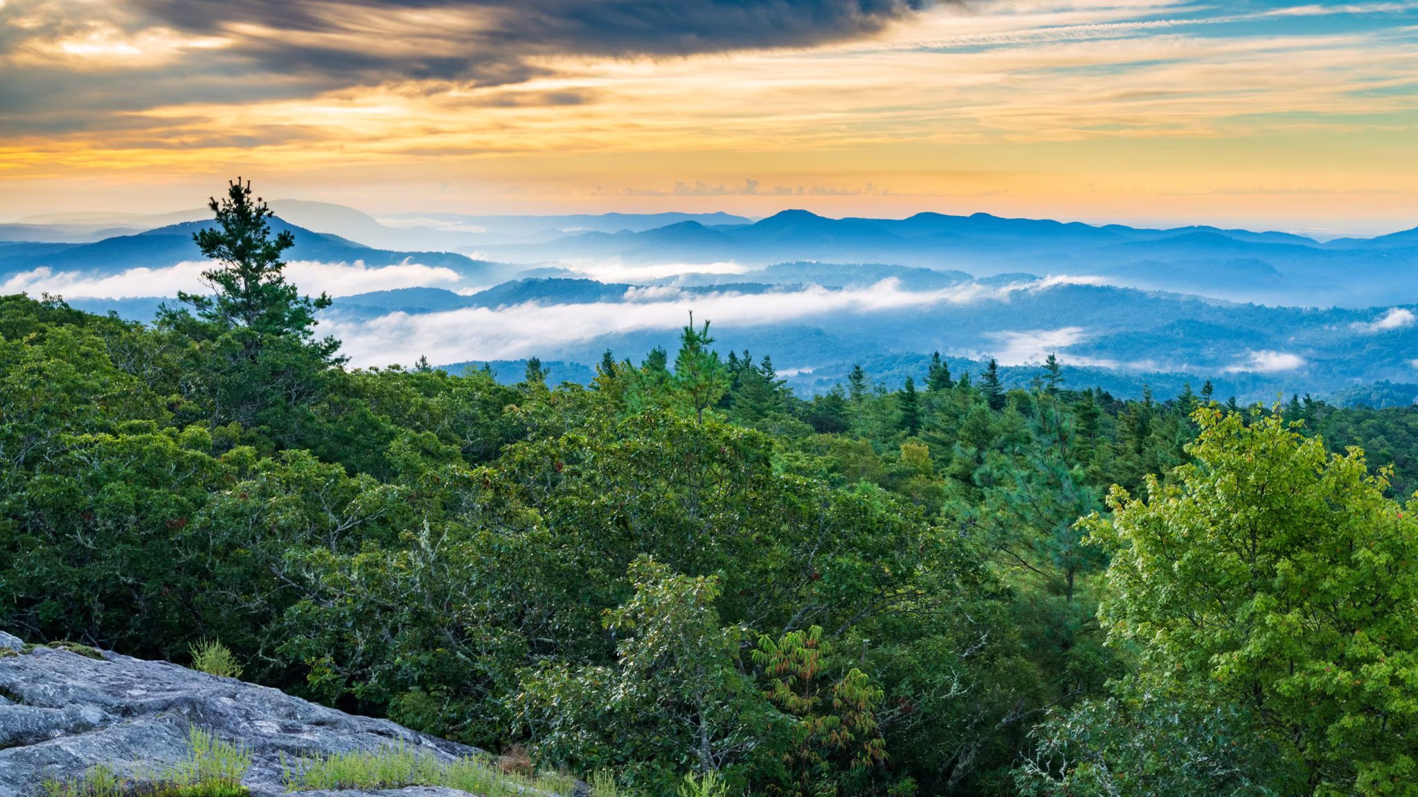 Licensed surveyor WNC, Commercial, Land surveying Western North Carolina, ALTA/NSPS, Residential, FireTower