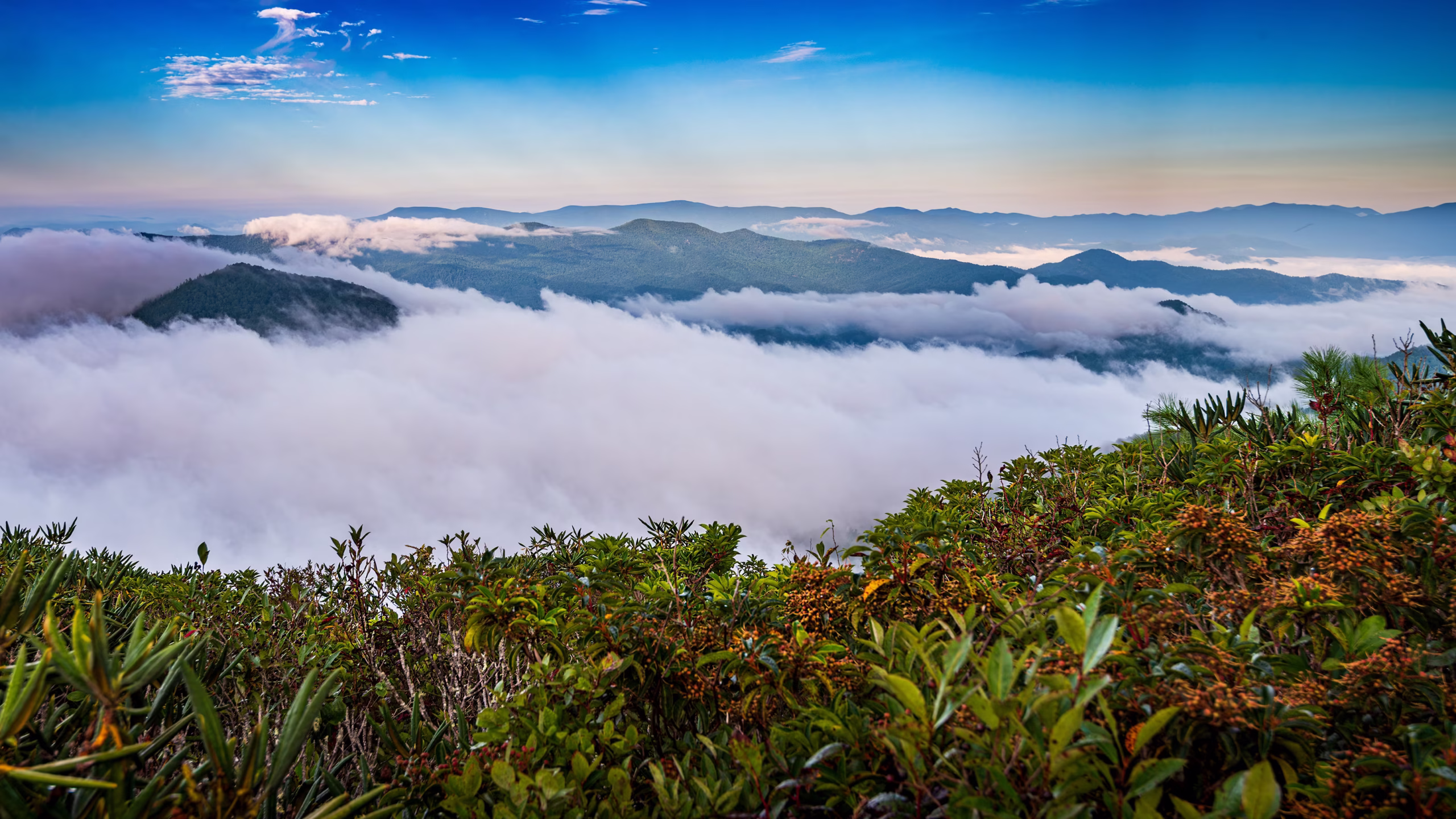 Residential, FireTower, Boundary, Licensed surveyor WNC, Land surveying Western North Carolina, surveying
